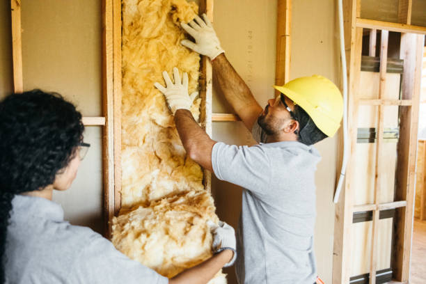 Best Insulation Removal  in Salunga, PA